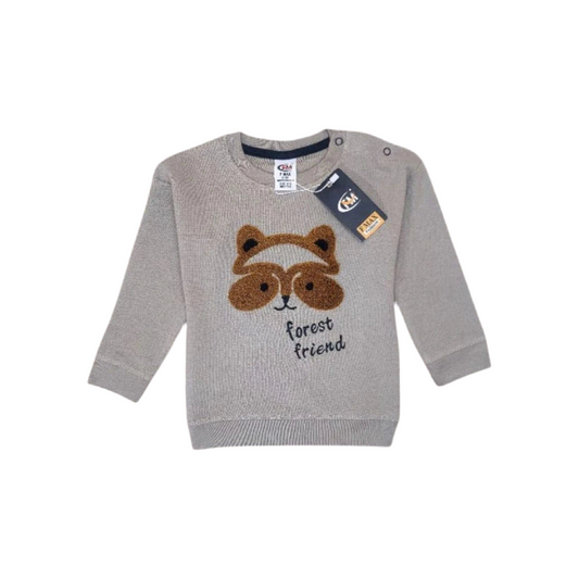 Sweatshirt for kids
